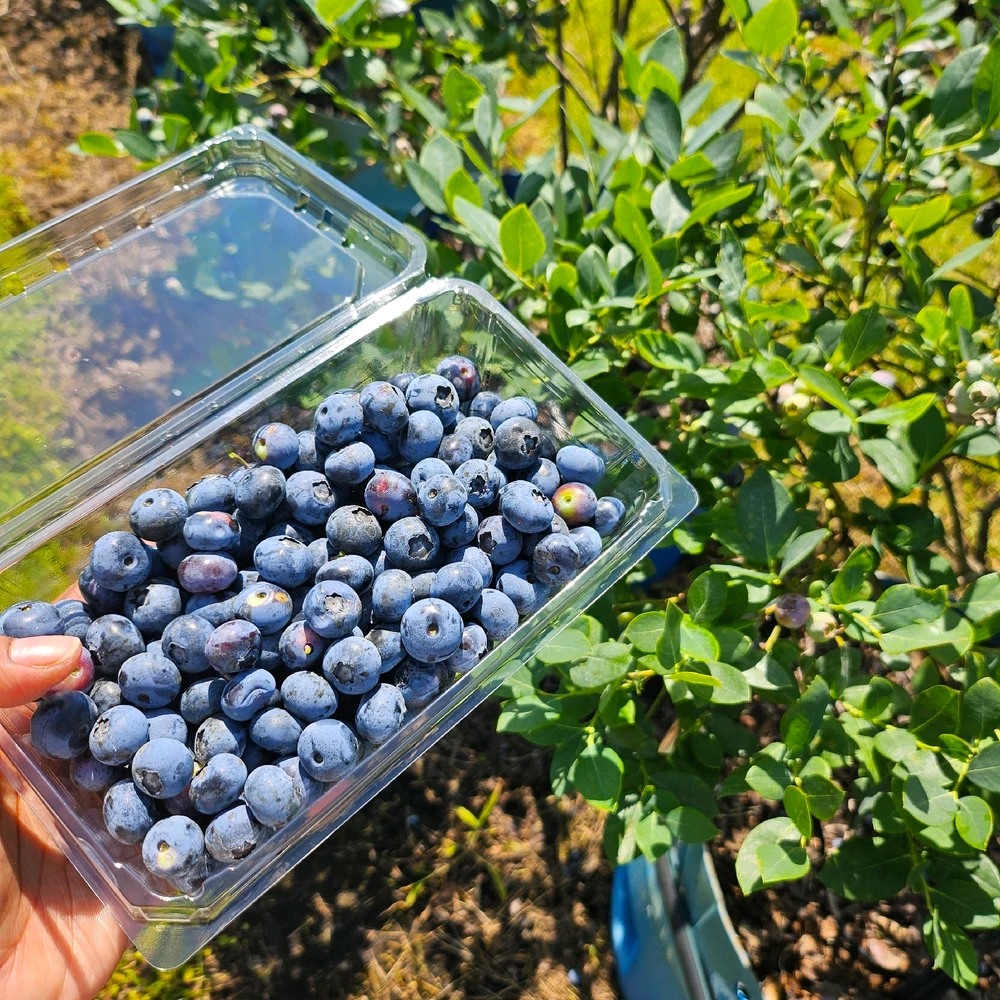 Image uploaded by Meshay