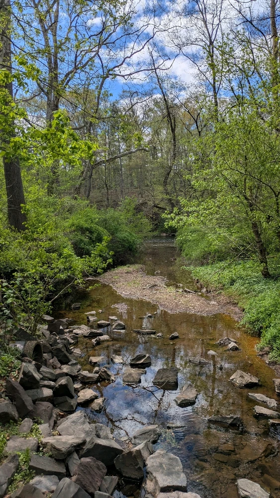 Image uploaded by Joshua