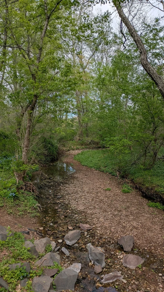 Image uploaded by Joshua