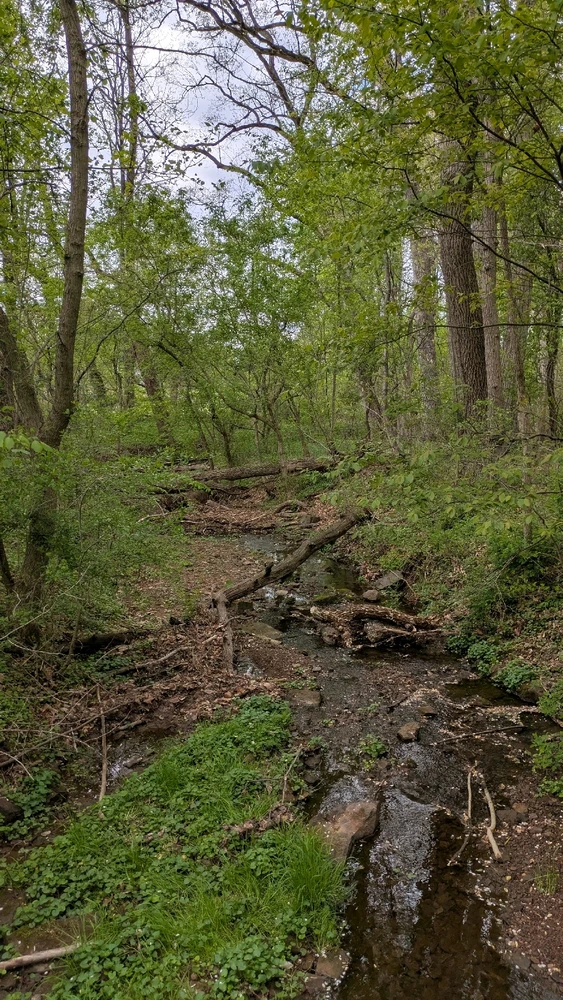 Image uploaded by Joshua