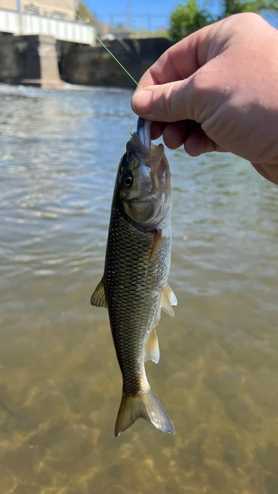 Image uploaded by Andy