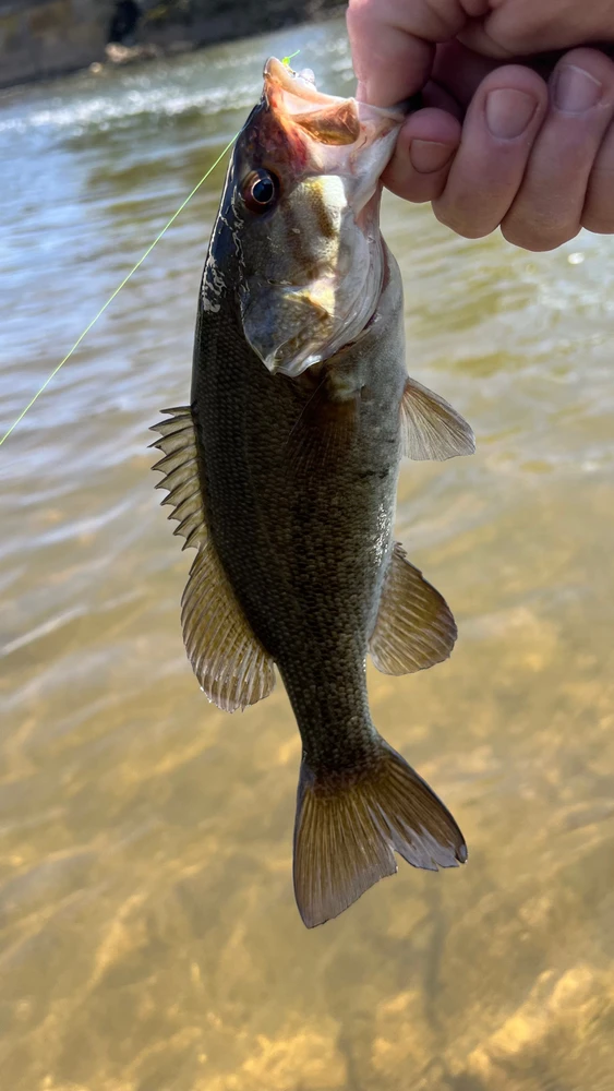 Image uploaded by Andy