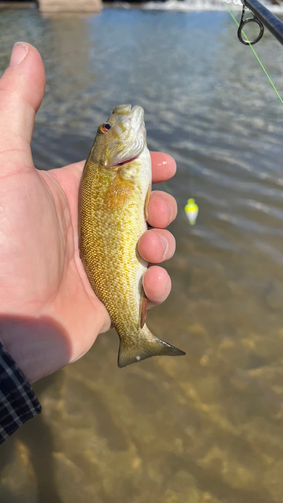 Image uploaded by Andy