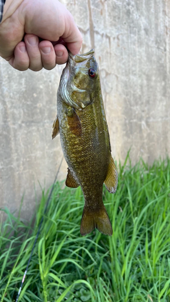 Image uploaded by Andy