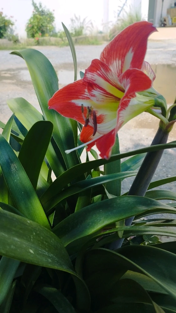 GIF ajouté par Hachem