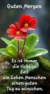 GIF hochgeladen von Ali💚💚💚