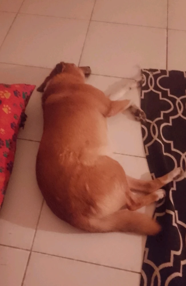 GIF enviado por Jonathan