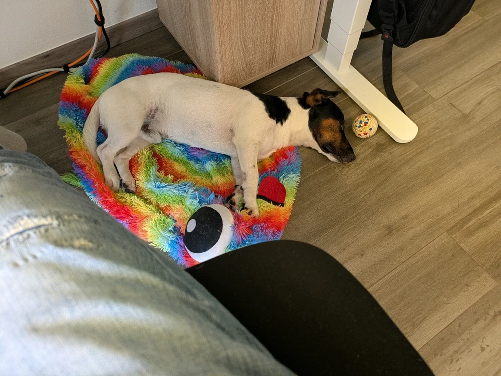 GIF hochgeladen von Ⓜ️🅰️NuEl