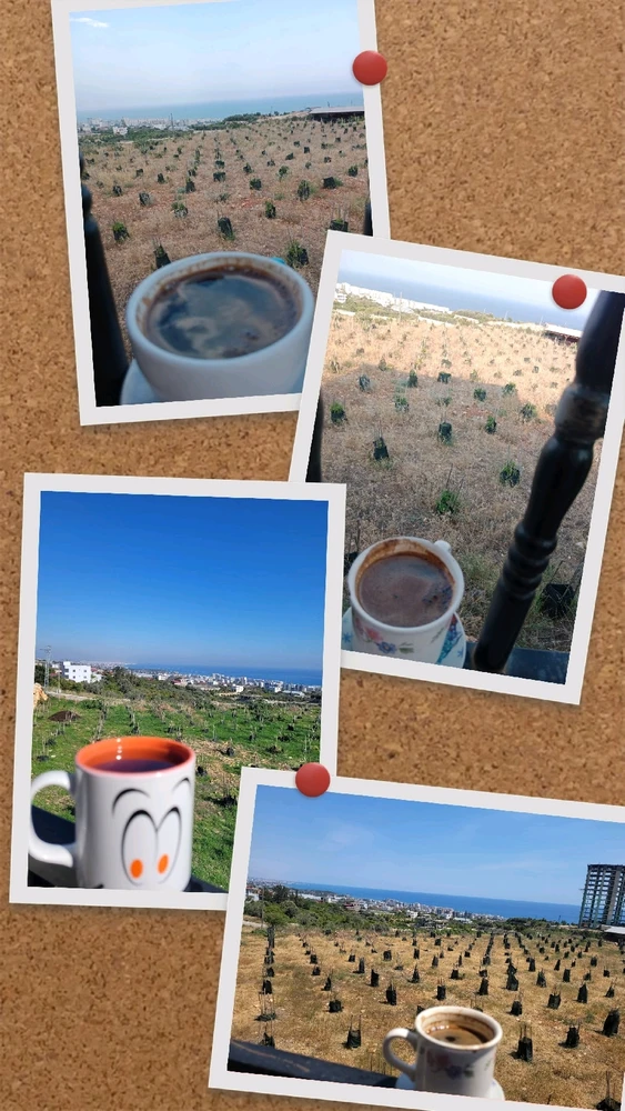 Mukaddes tarafından yüklenen GIF