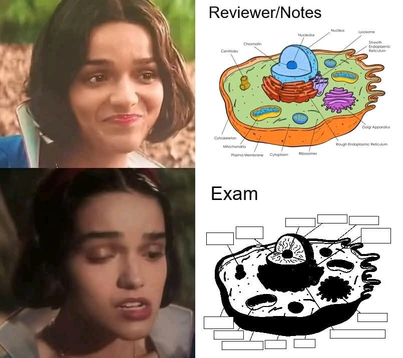 GIF uploaded by Nirupam