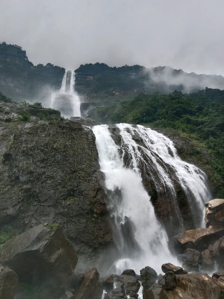 GIF uploaded by Chaya