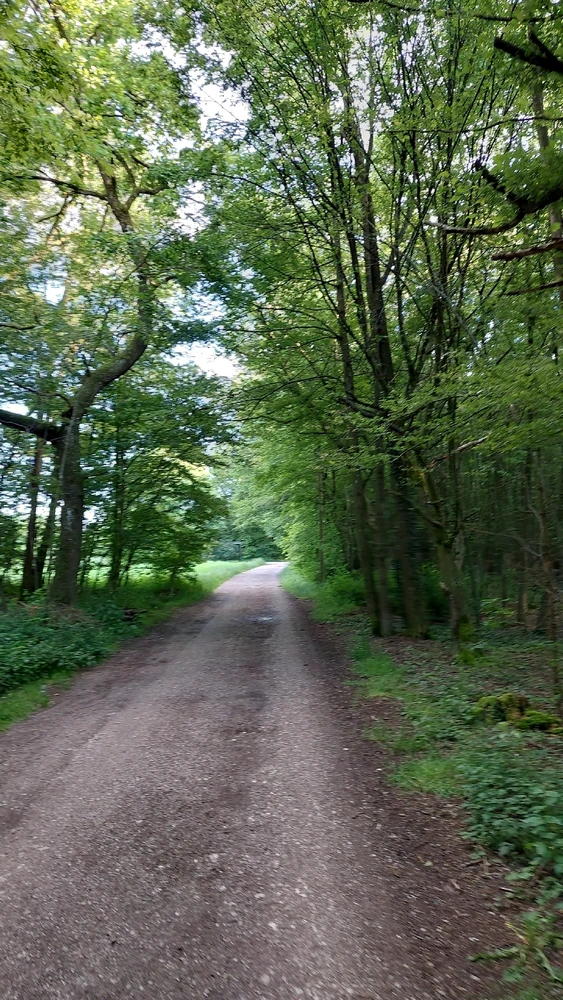 GIF uploaded by Sebastian