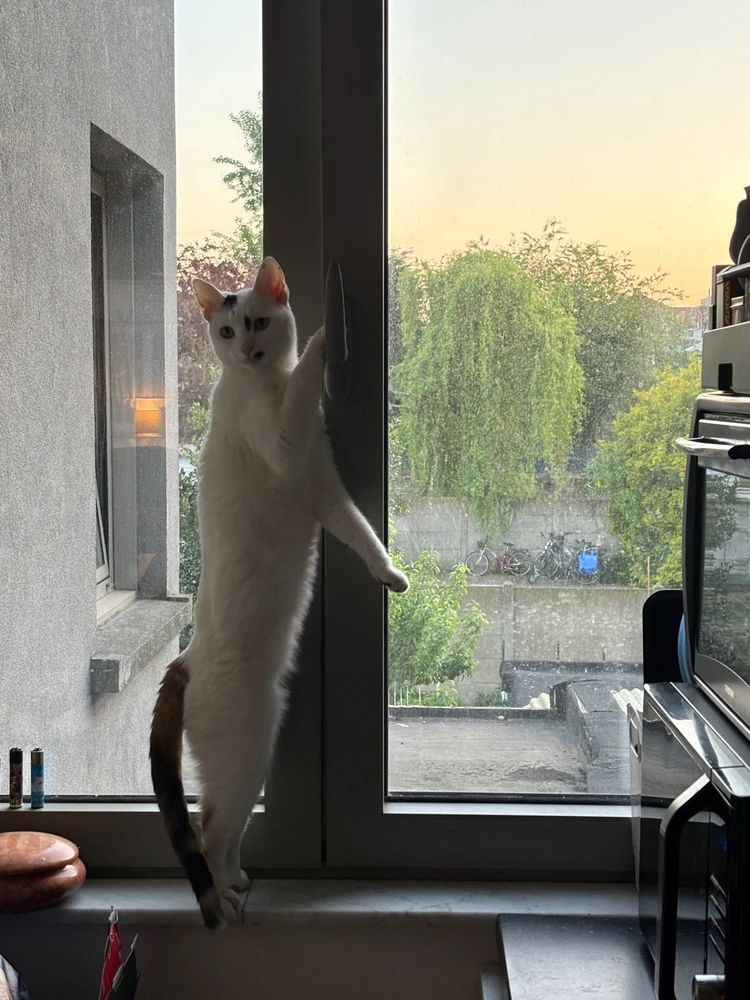 GIF geüpload door Jim