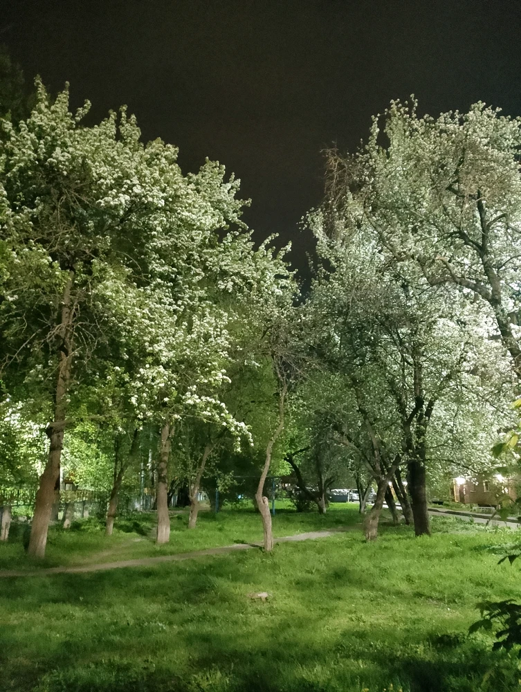 GIF загрузил Юлия