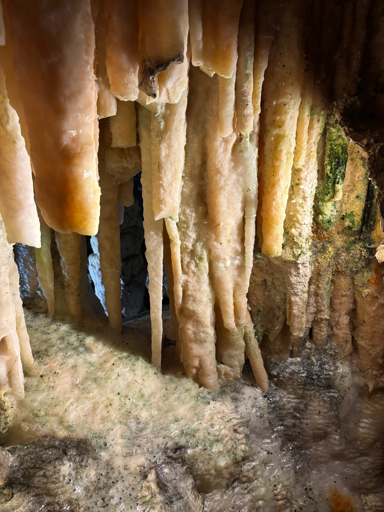 Image uploaded by Den