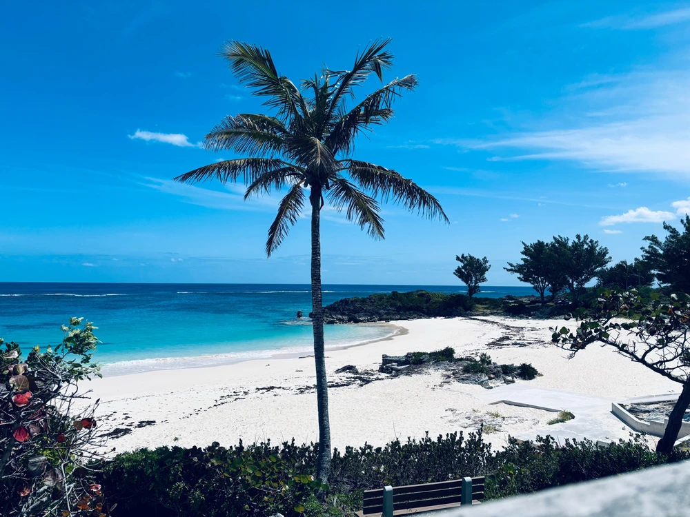 Image uploaded by Den