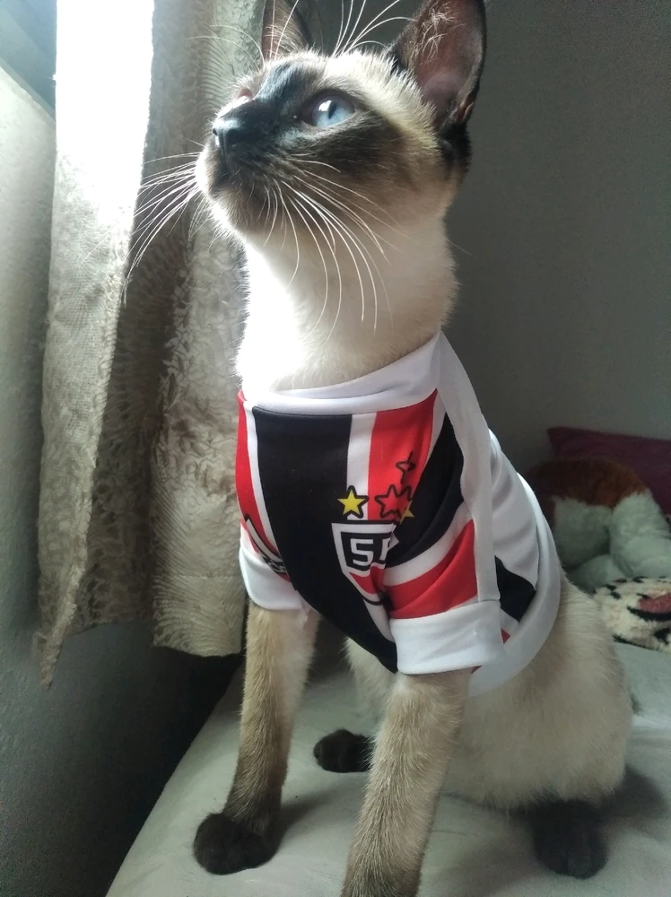 GIF enviado por Marcos Vinicius de Souza