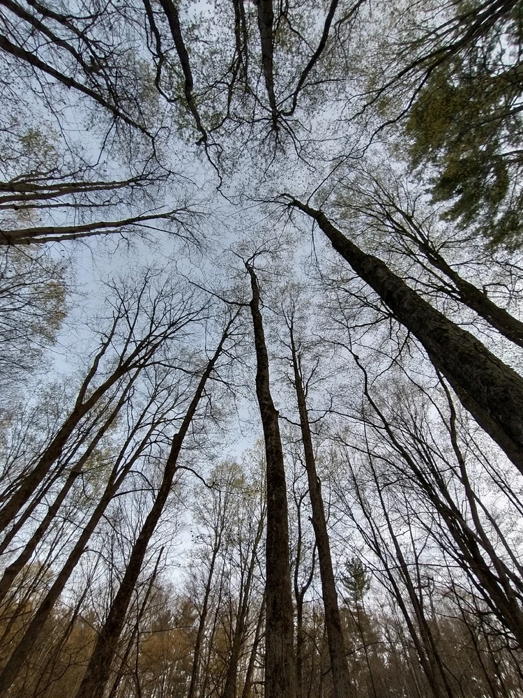 Image uploaded by Al