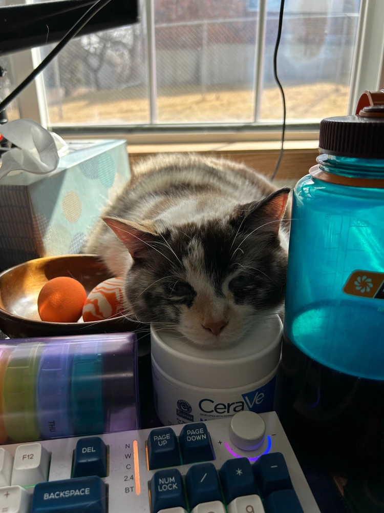 GIF uploaded by Lindsey