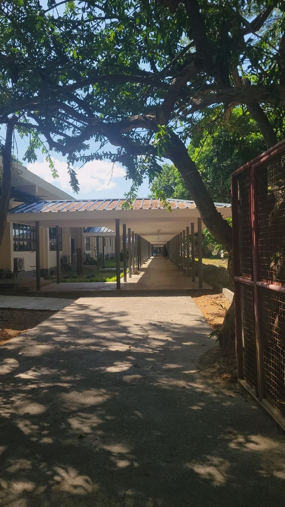 Gambar diunggah dening EmJay