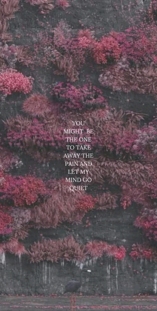 GIF geüpload door Rune