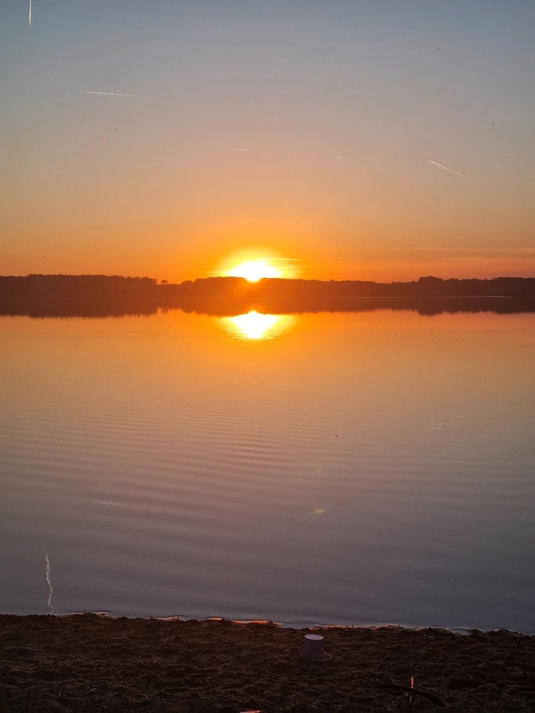 GIF hochgeladen von Paula