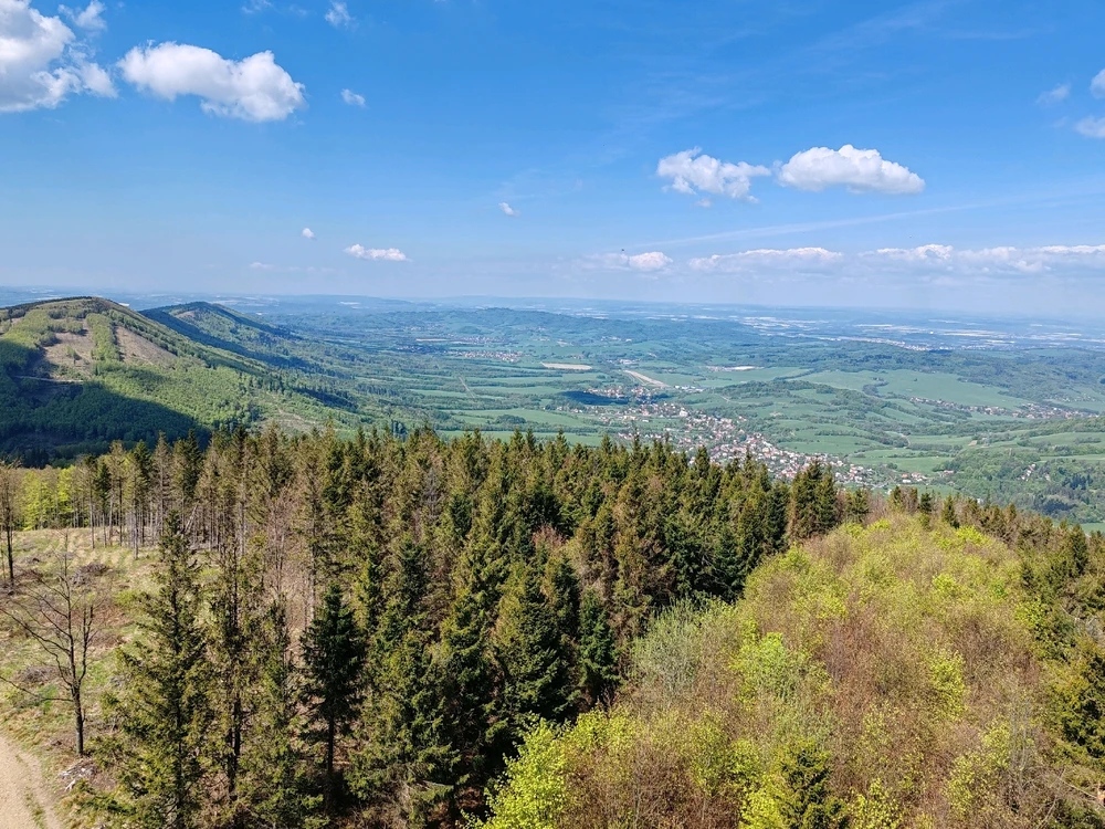 Obrázek nahrál Toñas