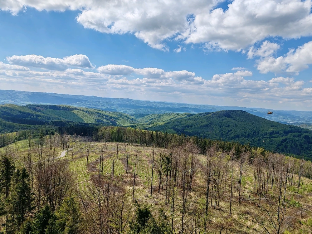 Obrázek nahrál Toñas