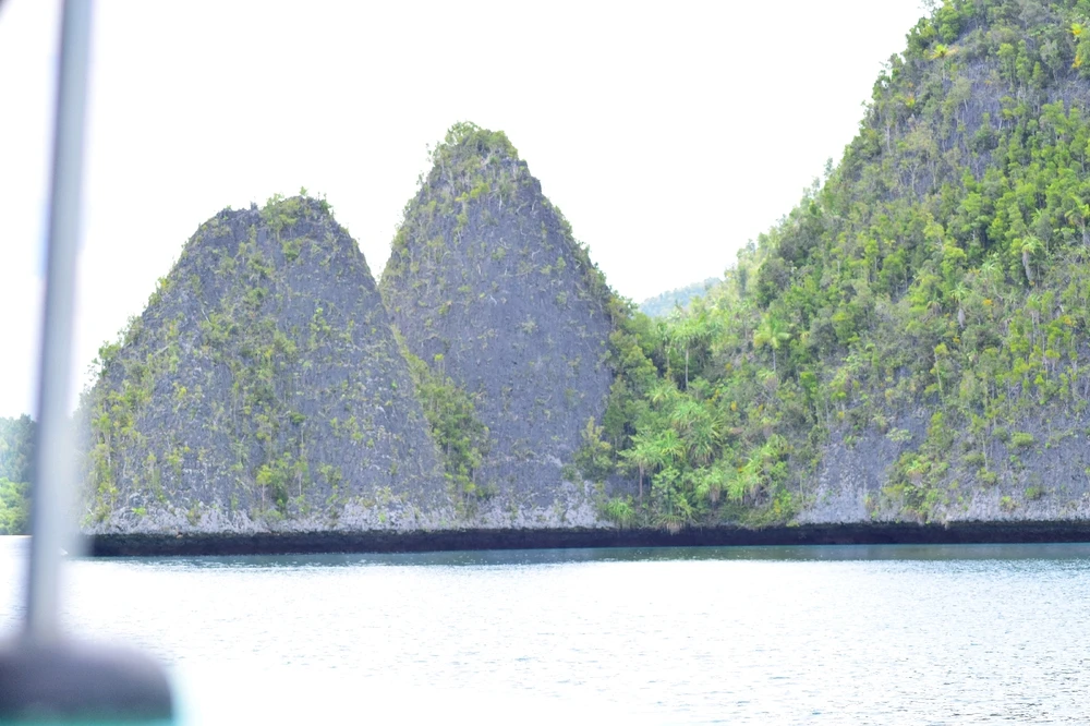 Gambar diunggah oleh Mr Dhean