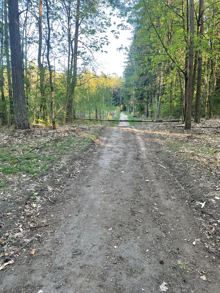 Zdjęcie dodane przez Piotr