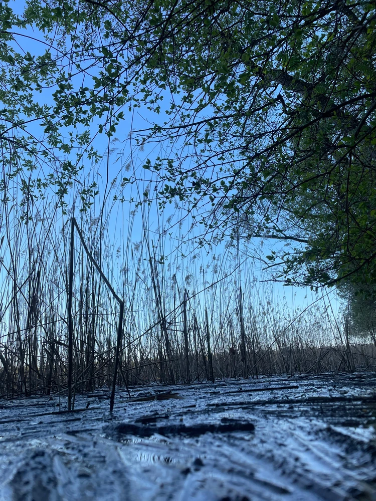 Zdjęcie dodane przez Piotr