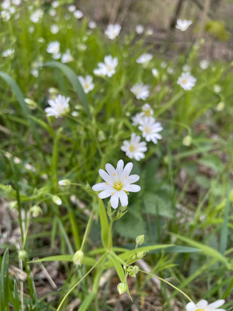 Zdjęcie dodane przez Piotr