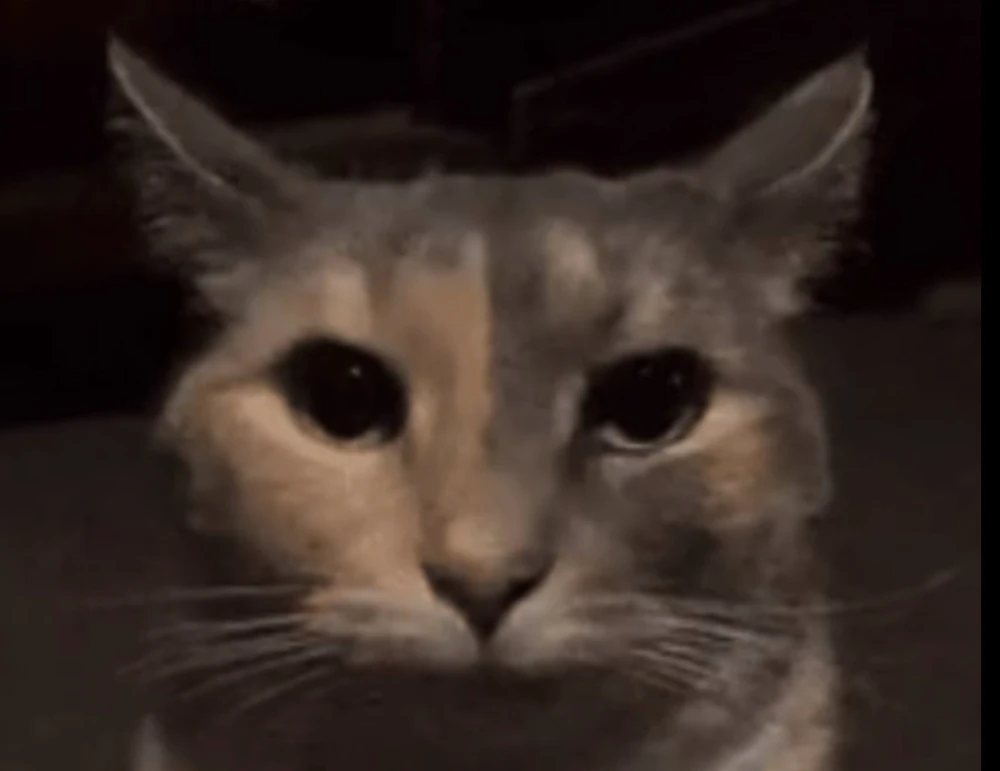 GIF hochgeladen von Can