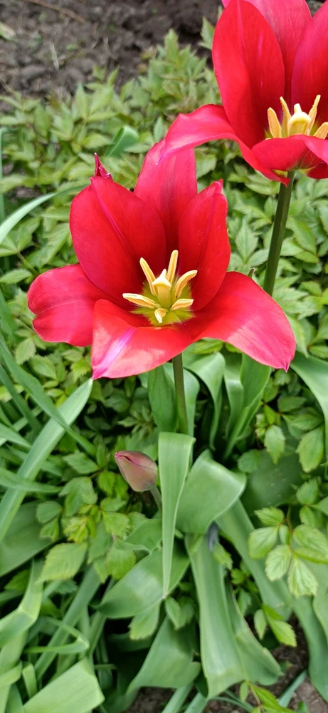 Image uploaded by Eleanor