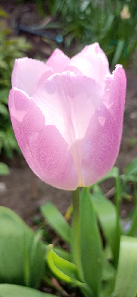 Image uploaded by Eleanor