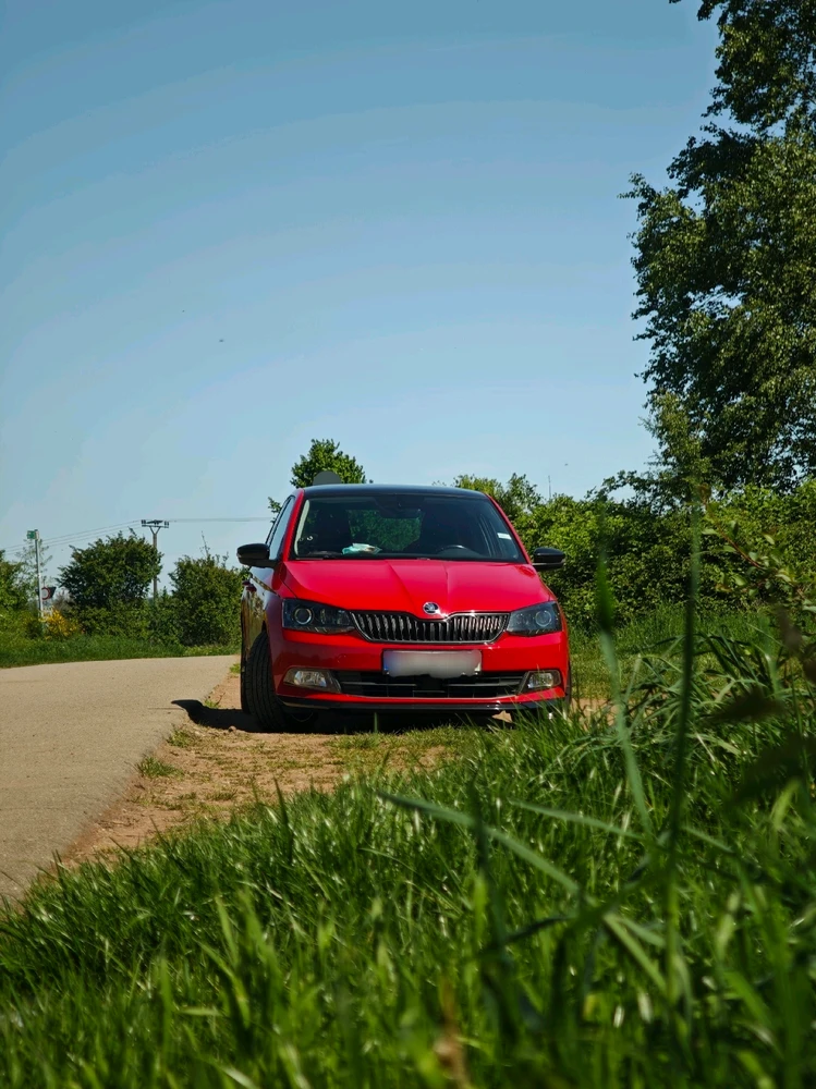 Фото загрузил Boriss