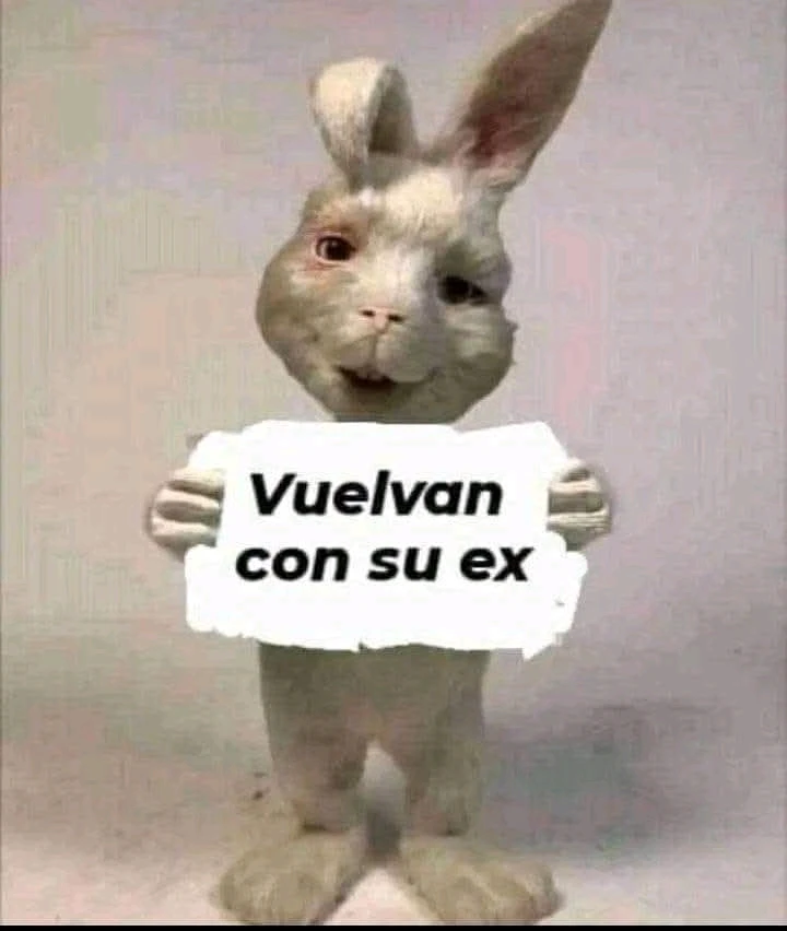 GIF subido por Arroz con leche
