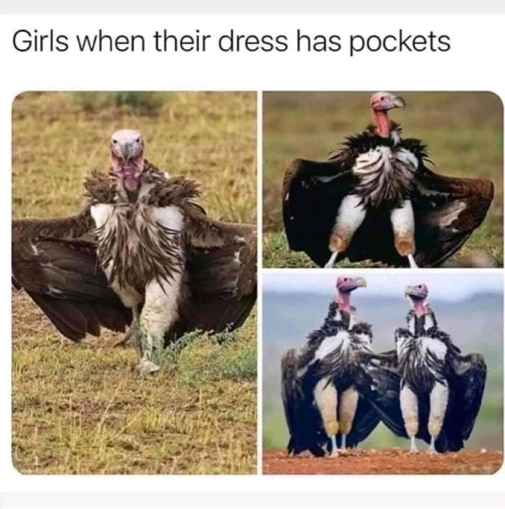 Wait...why do we do that?