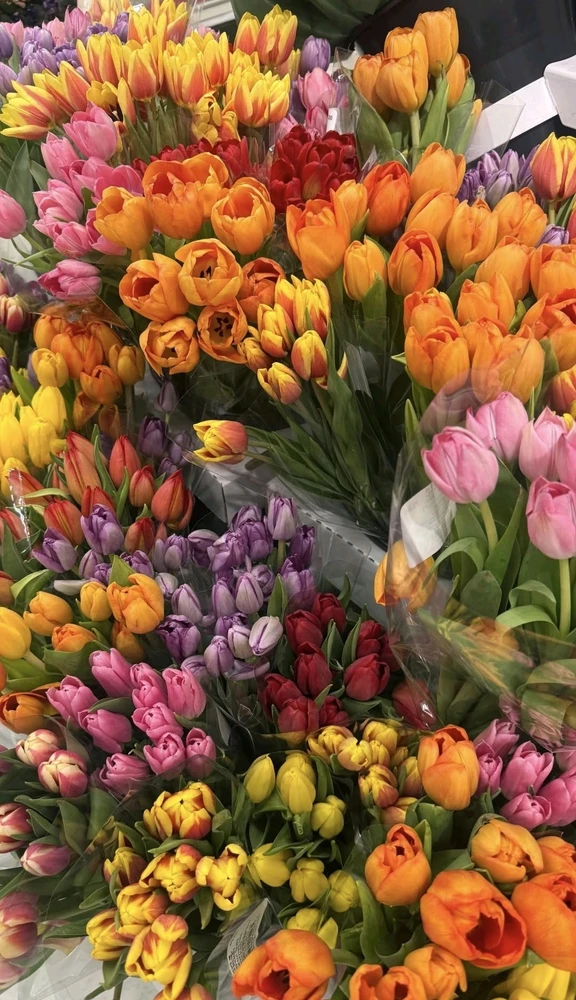 GIF uploaded by Bebe🧜🏻♀️🌖🌠