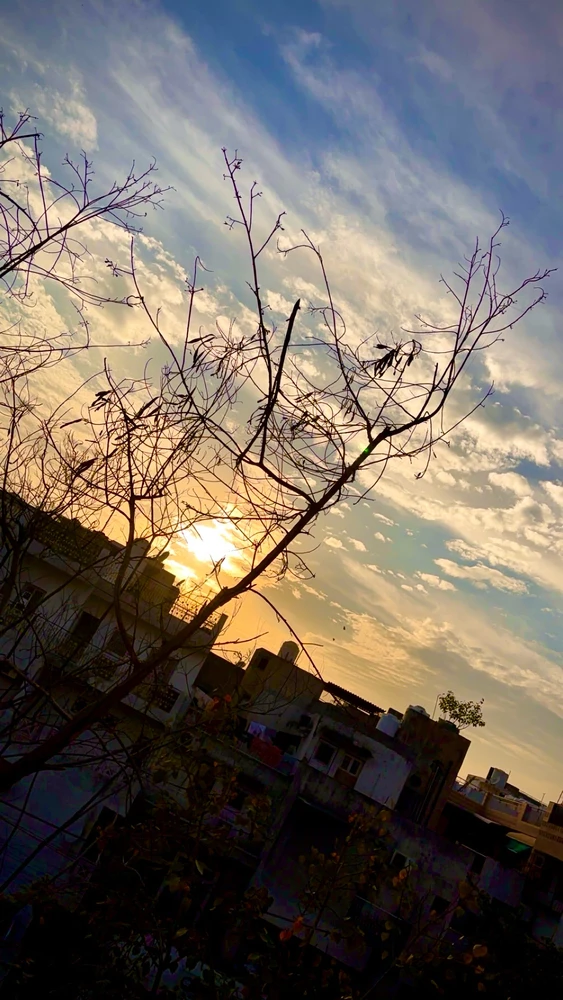 Image uploaded by Croney