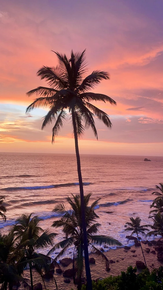 Image uploaded by Croney