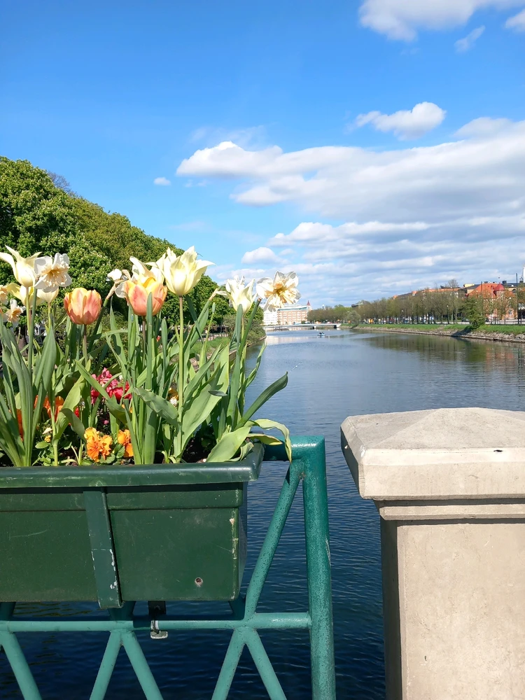 GIF dodany przez Ila