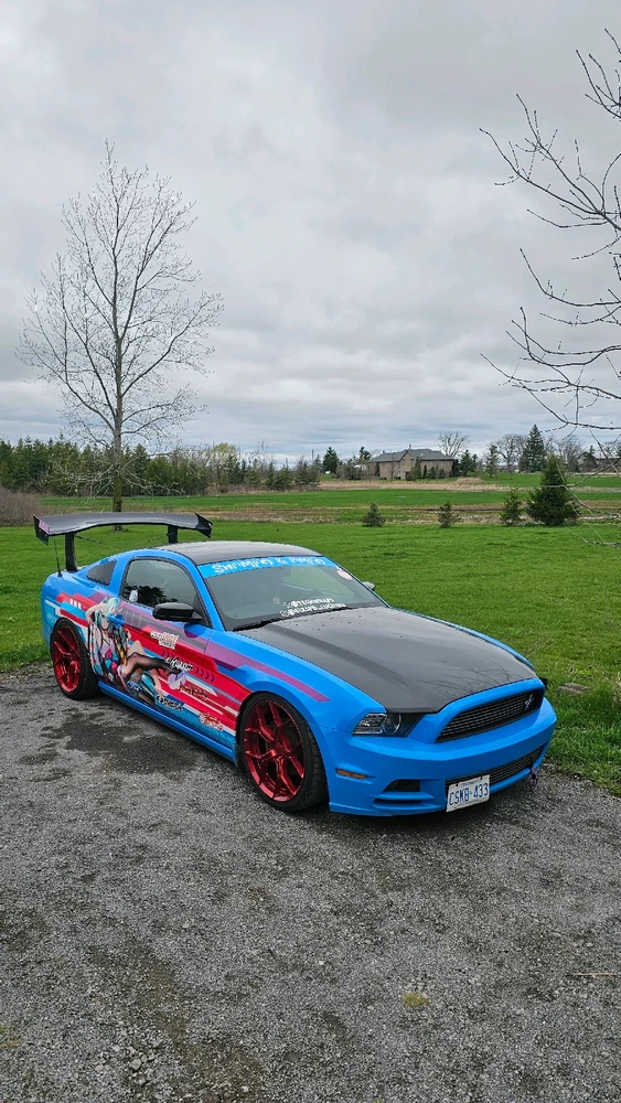 Gambar diunggah dening Teshimar