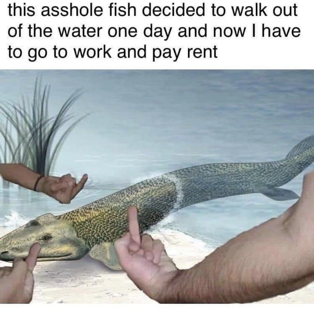 GIF uploaded by Daniel