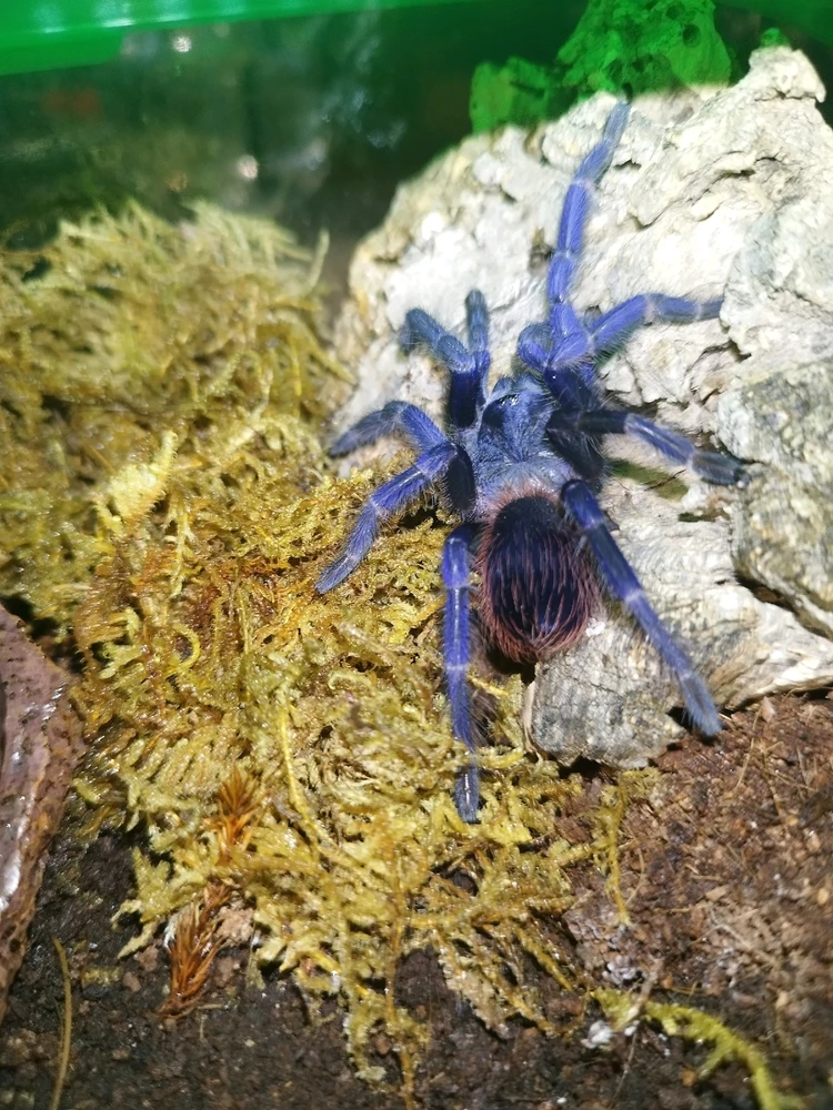 Image uploaded by Jul