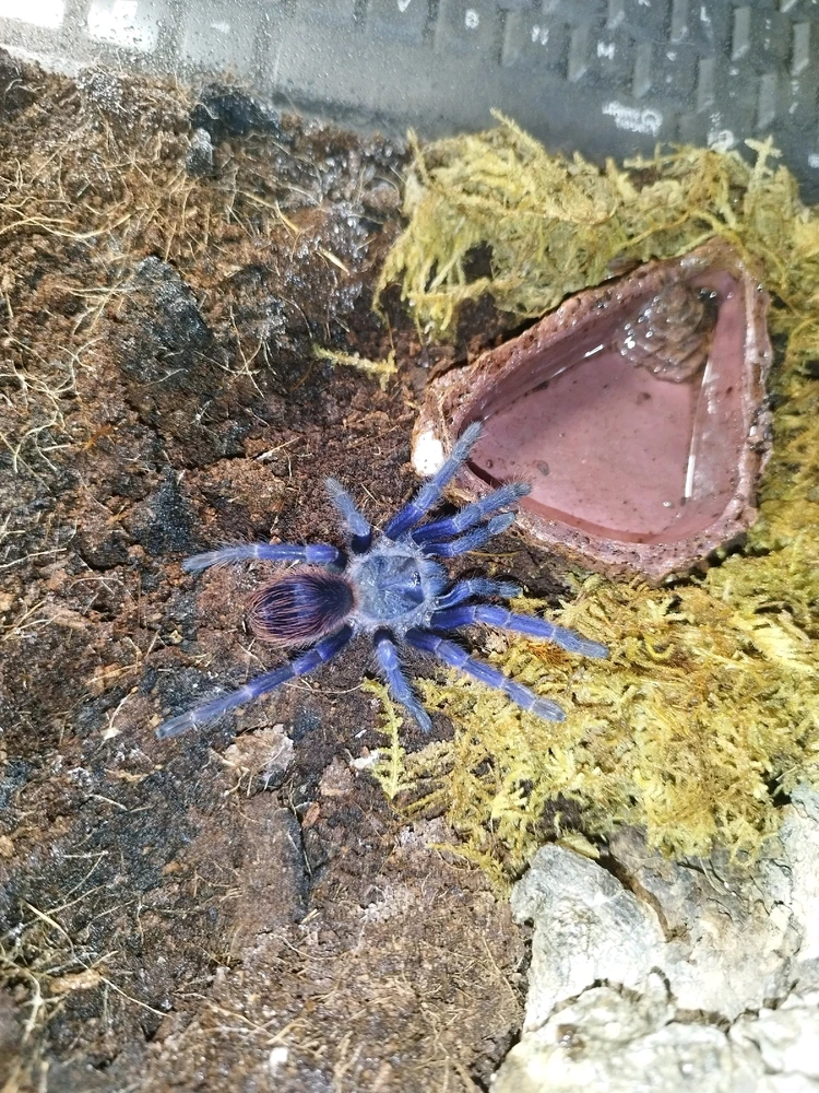 Image uploaded by Jul