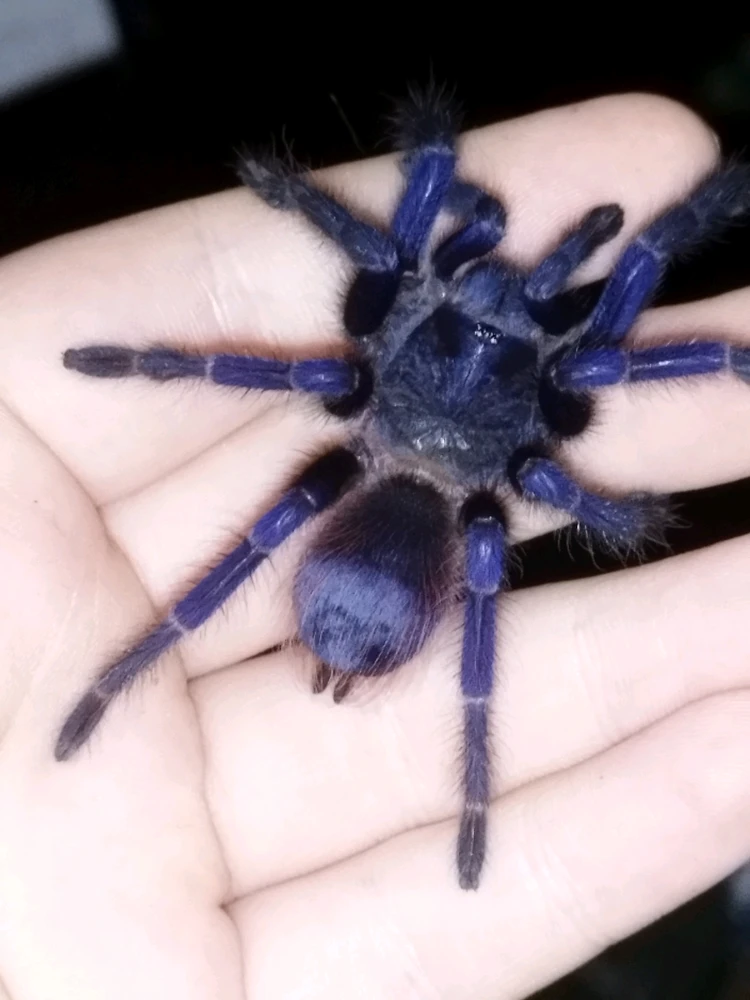 Image uploaded by Jul