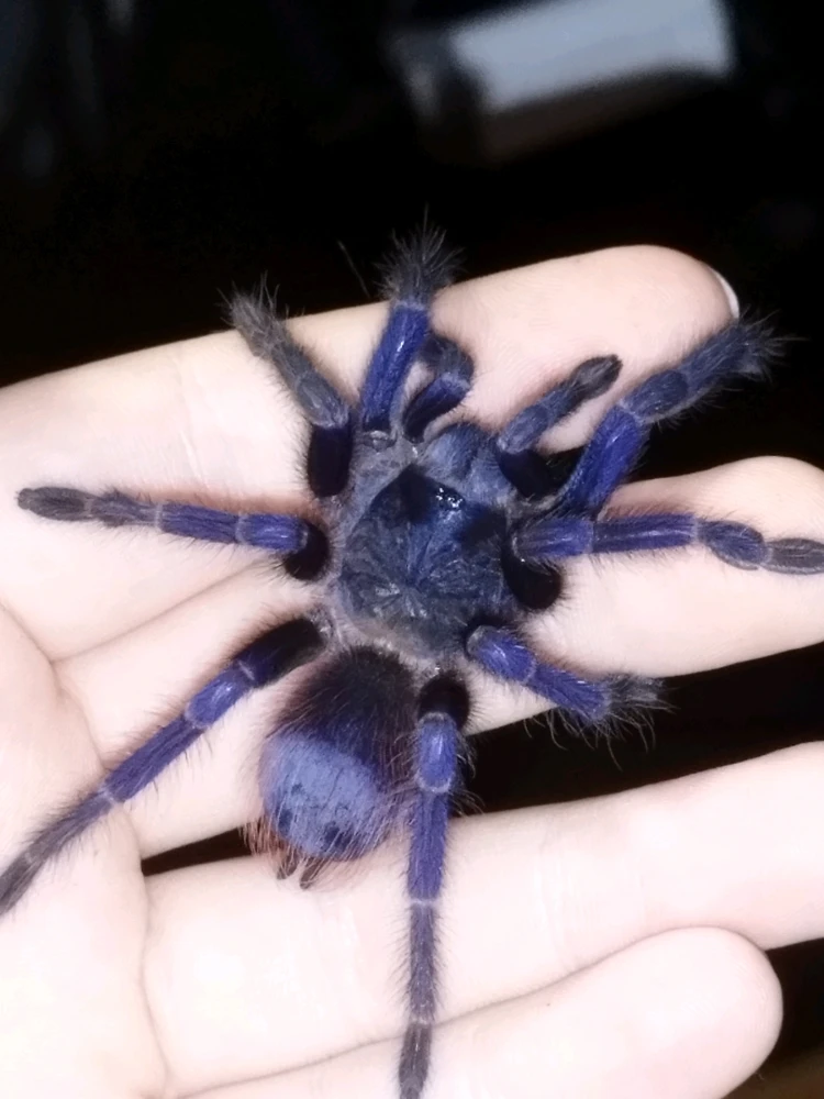 Image uploaded by Jul