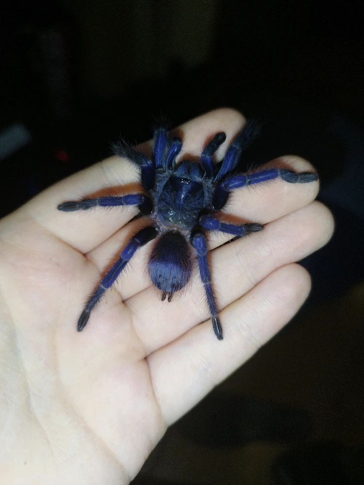 Image uploaded by Jul