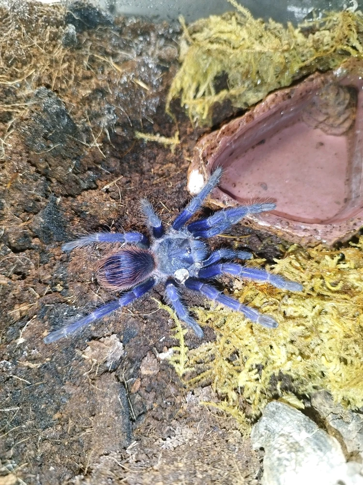 Image uploaded by Jul